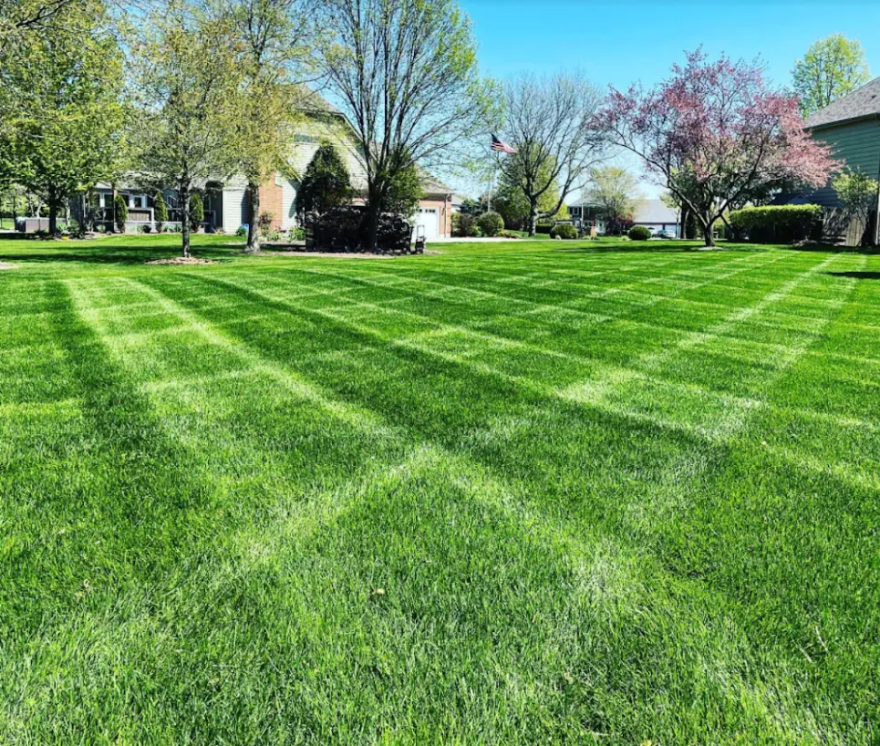 A freshly mowed lawn with crisscross stripes